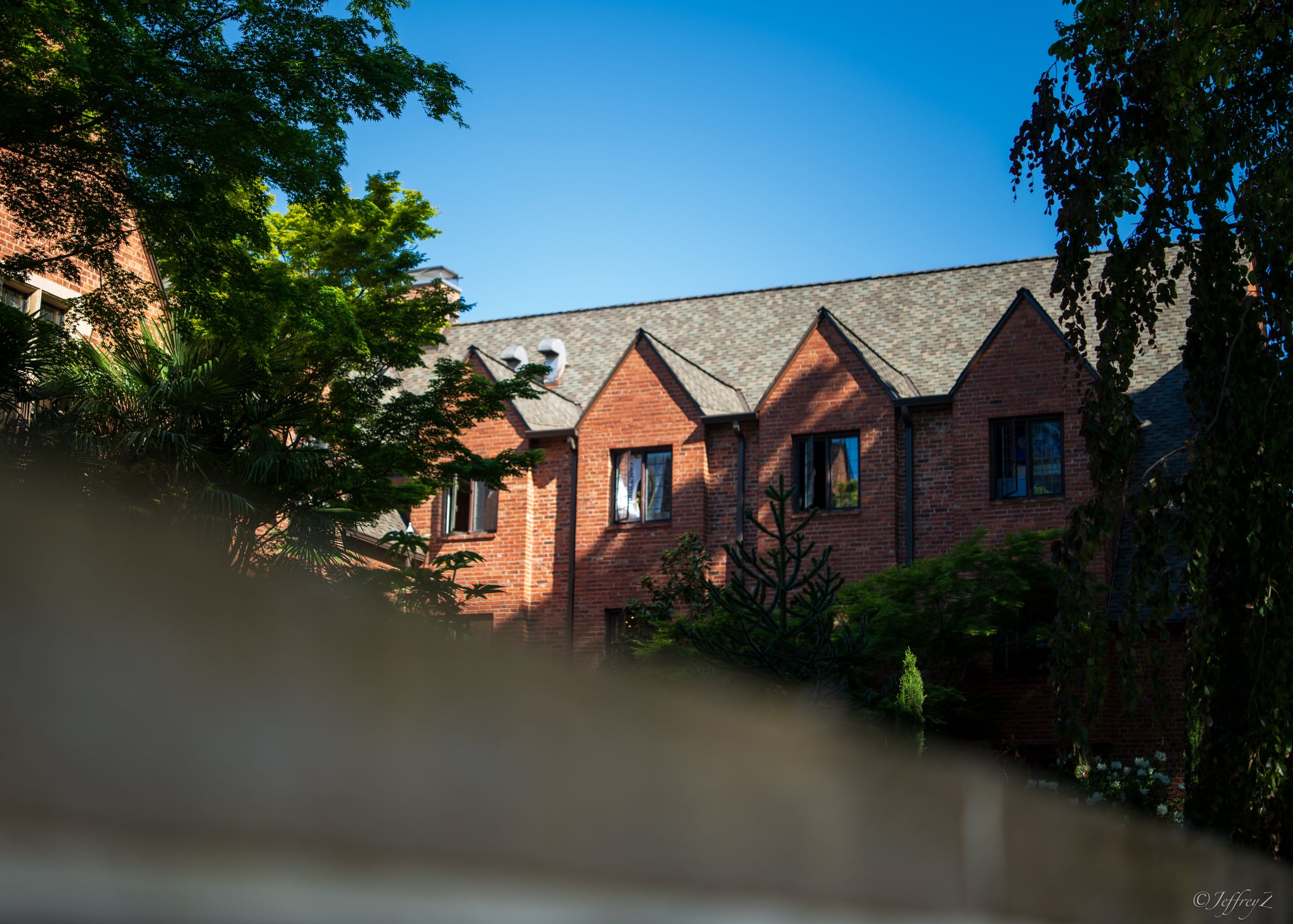 May — lxj-20260512-03334.jpg