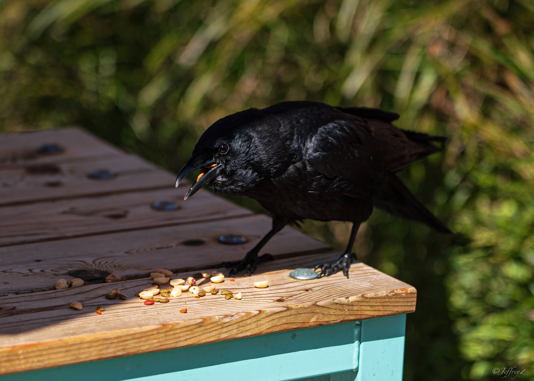 May — lxj-20260529-03376.jpg