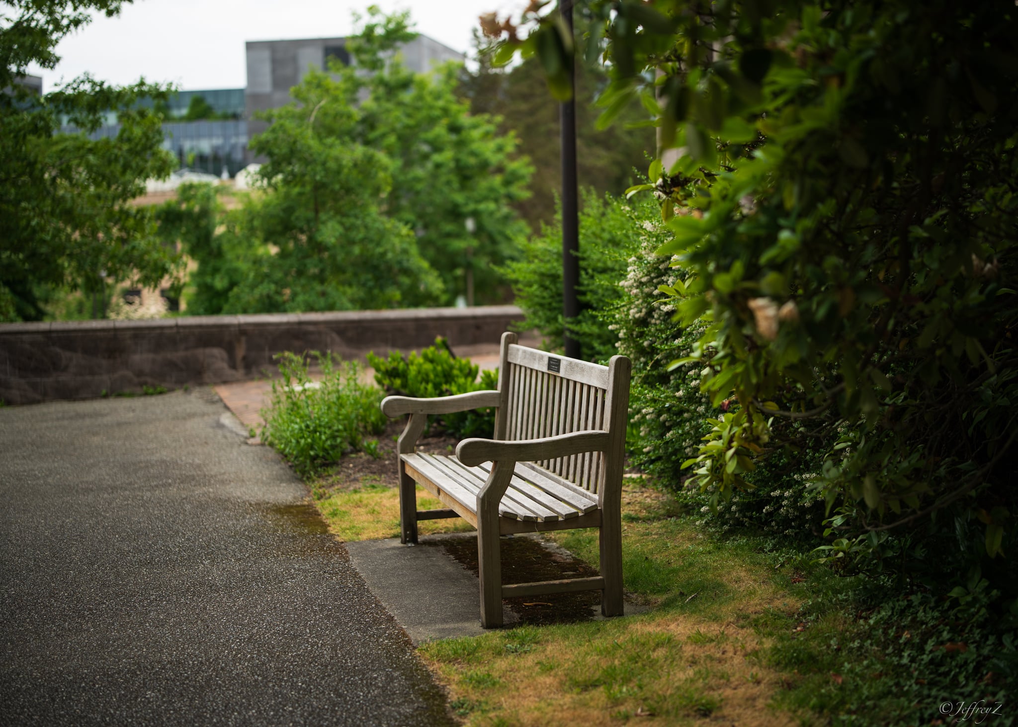 June — lxj-20260605-03492.jpg
