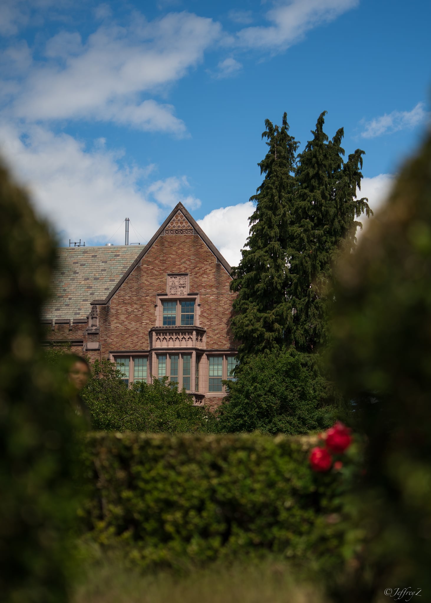June — lxj-20260610-03551.jpg
